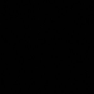 Meet your Posher, Cecilia